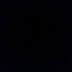 Meet your Posher, Angelina